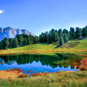 日本美女的黄色
